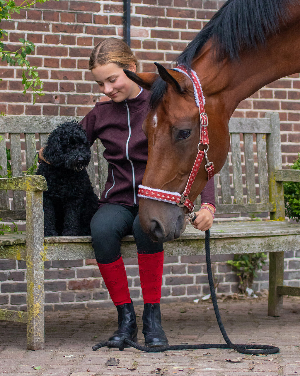 gamarra Christmas marca QHP