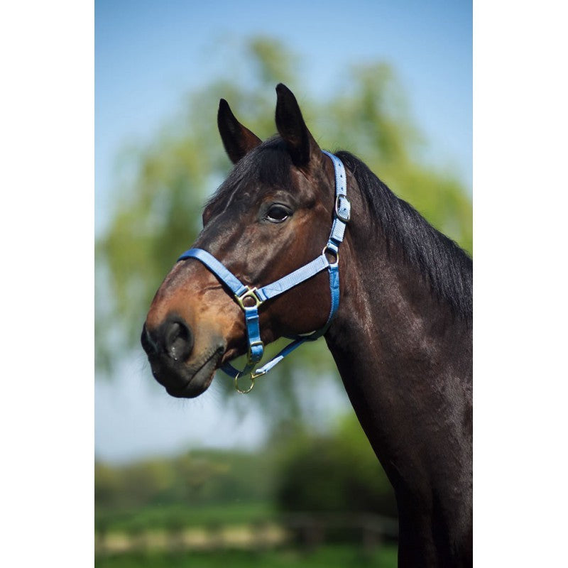 GAMARRON  para caballo de nylon forrada de cuero