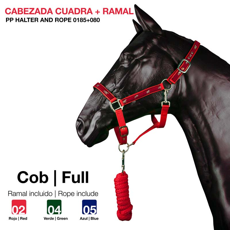 GAMARRA DETALLES DE CABALLO  MAS CABESTRO  ZALDI