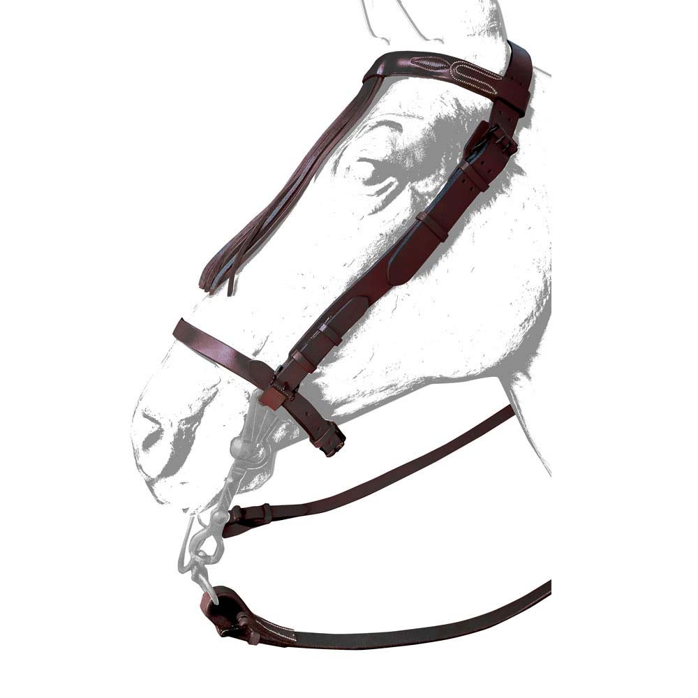 CABEZADA VAQUERA CUERO ANCHA RONDA