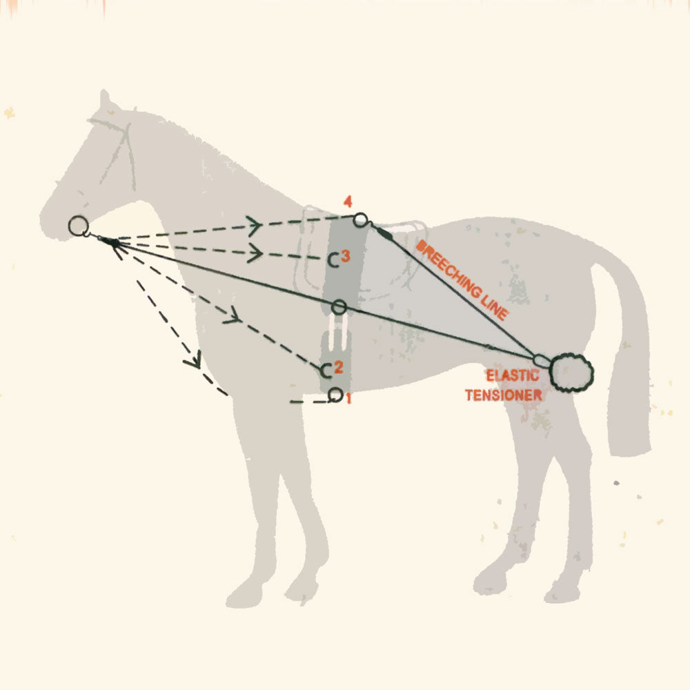 CHAMBÓN ENTRENAMIENTO PESSOA PASSOVA