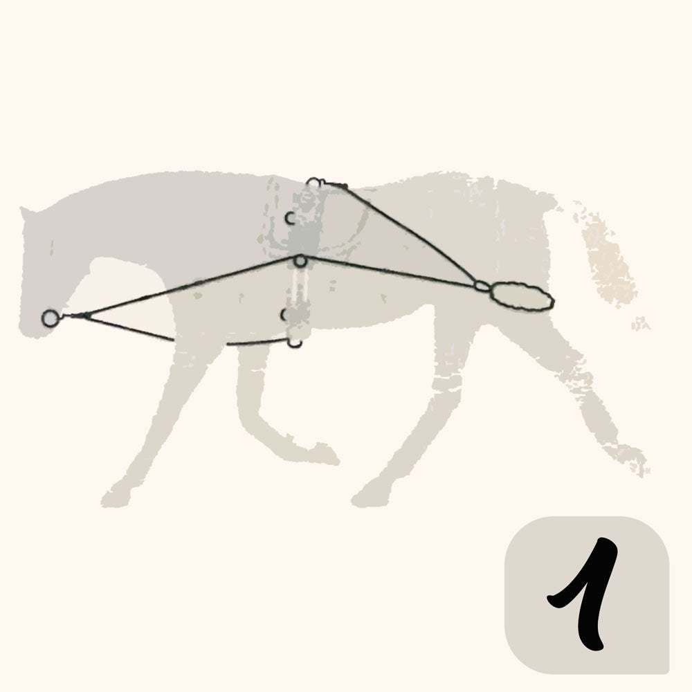 CHAMBÓN ENTRENAMIENTO PESSOA PASSOVA