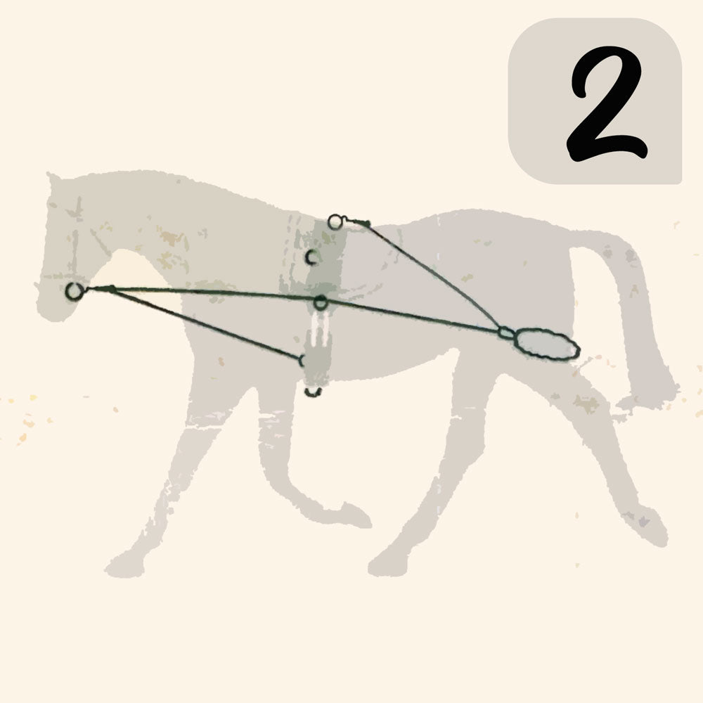 CHAMBÓN ENTRENAMIENTO PESSOA PASSOVA