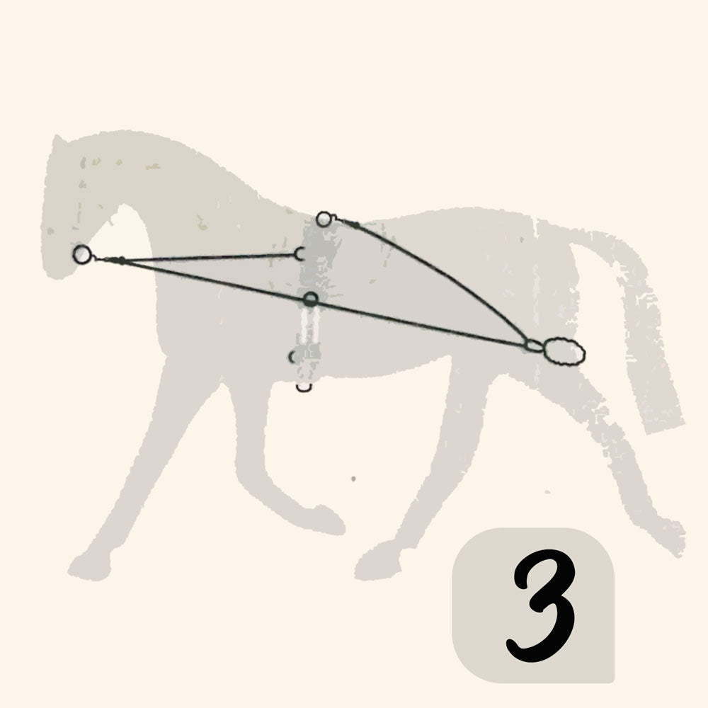 CHAMBÓN ENTRENAMIENTO PESSOA PASSOVA