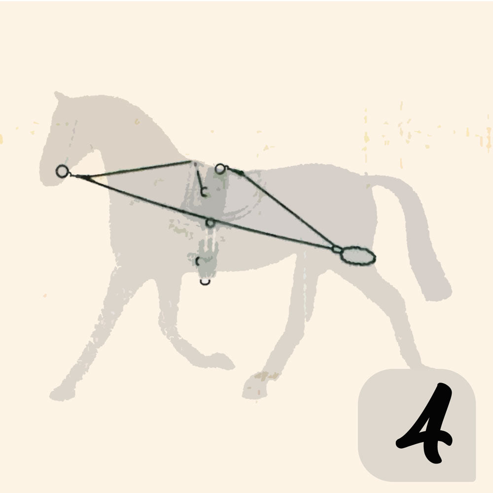 CHAMBÓN ENTRENAMIENTO PESSOA PASSOVA