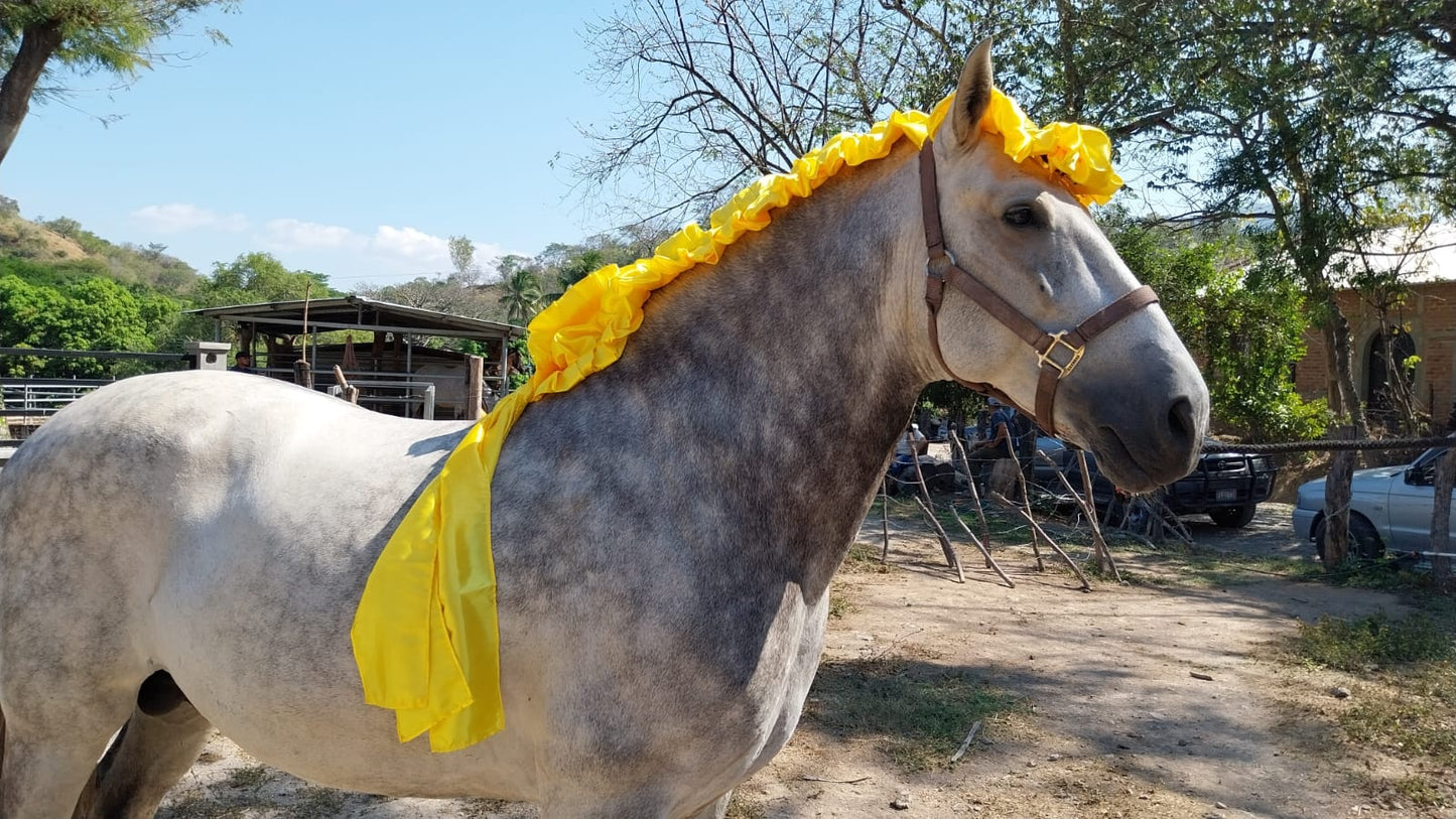 lazas plus para crin