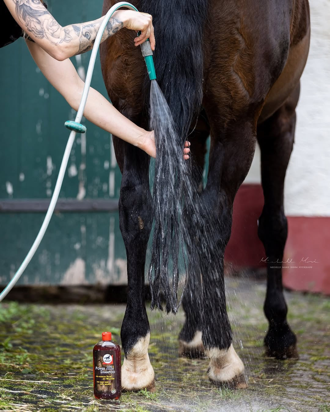 CHAMPU LEOVET POWER PARA CABALLOS DE CAPA OSCURA 500 ML