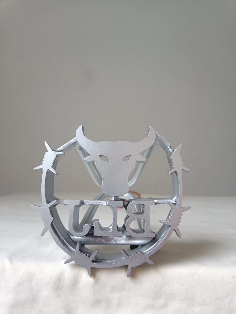 FIERROS DE ACERO MODELO DE HERRADURAS