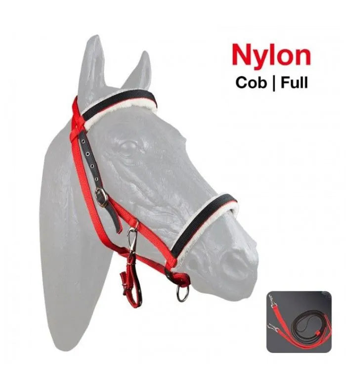 CABEZADA y rienda NYLON con riendas