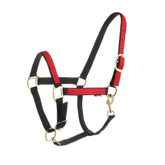 Cabezada Daslö Roma en nylon doble MARCA MARJOMAN