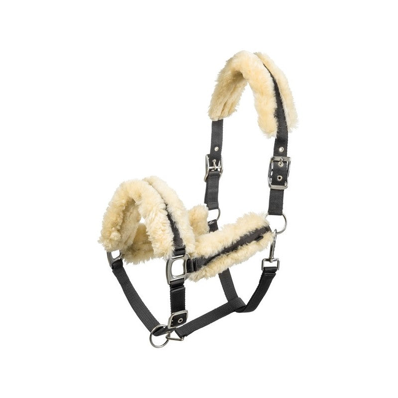 GAMARRON  con Borreguillo Natural de EQUITHÈME