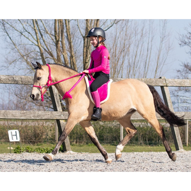 GAMARRON  con rienda QHP