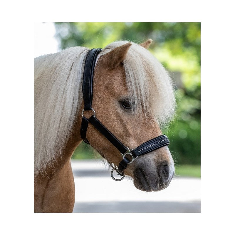 GAMARRON  de Cuero Diamond STAR