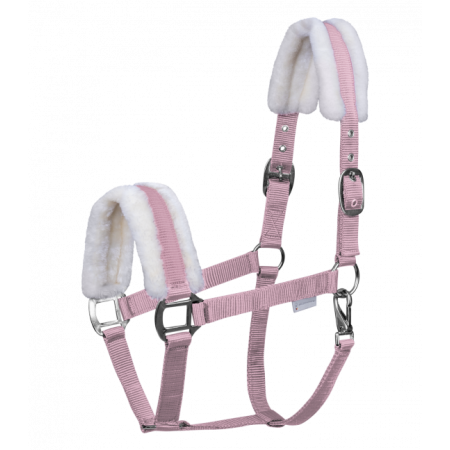 GAMARRON "FIRST" de WALDHAUSEN