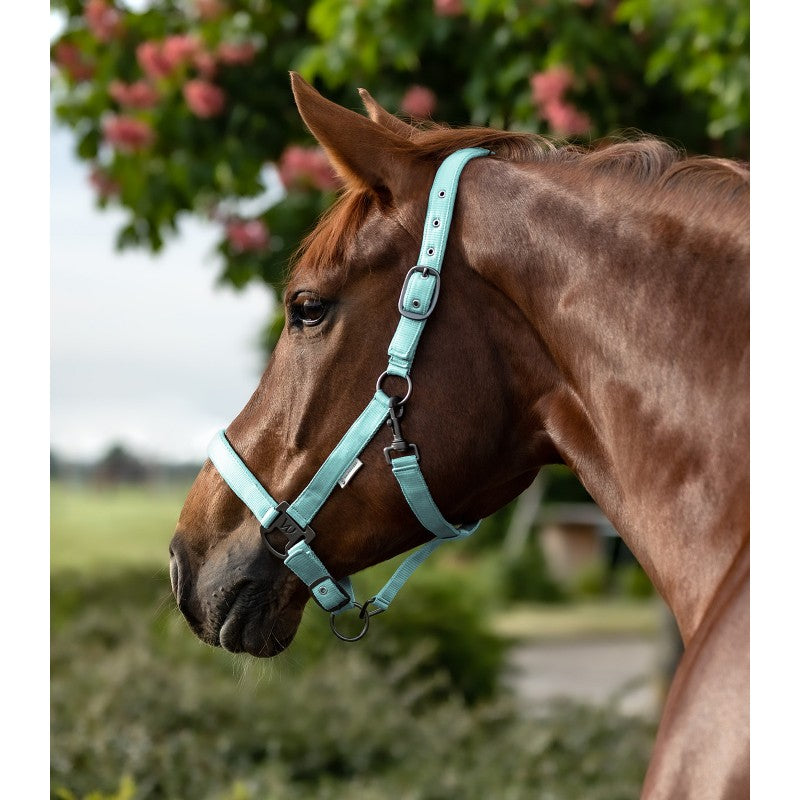 GAMARRON Gloomy de Waldhausen