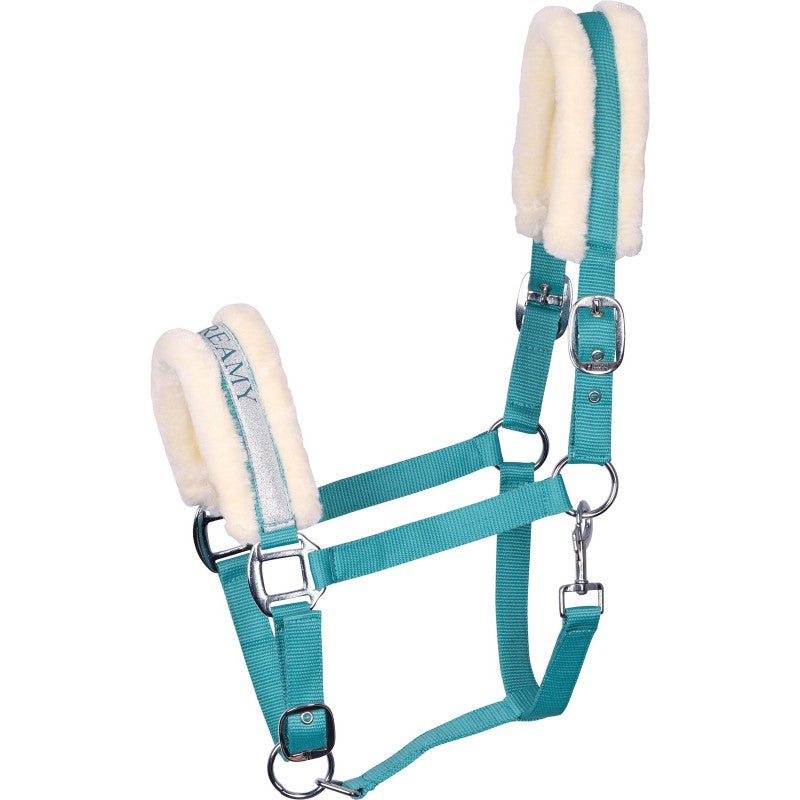 GAMARRON "LYRICS" de HARRY'S HORSE