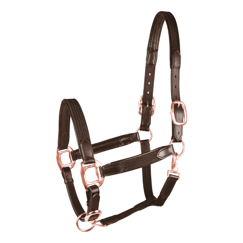 GAMARRON Mixta de STAR Marrón Talla Cob