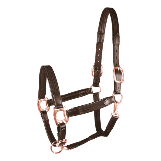 GAMARRON  Mixta de STAR Marrón Talla Cob