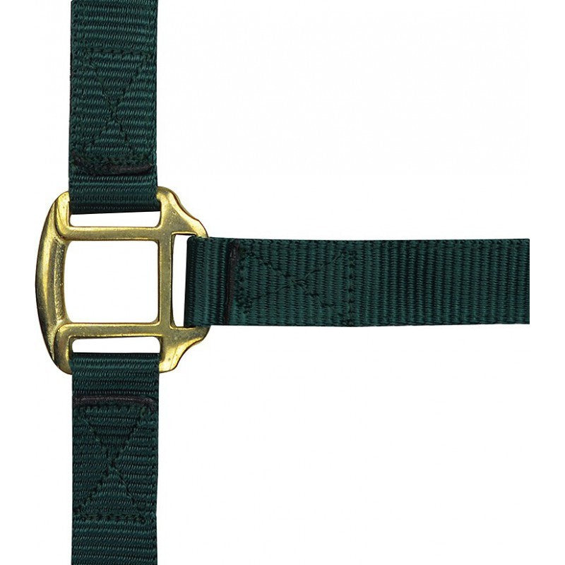 GAMARRON  para caballo de nylon forrada de cuero