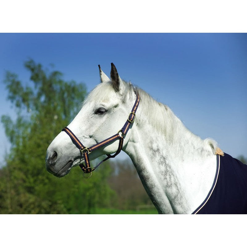 GAMARRON  para caballo de nylon forrada de cuero