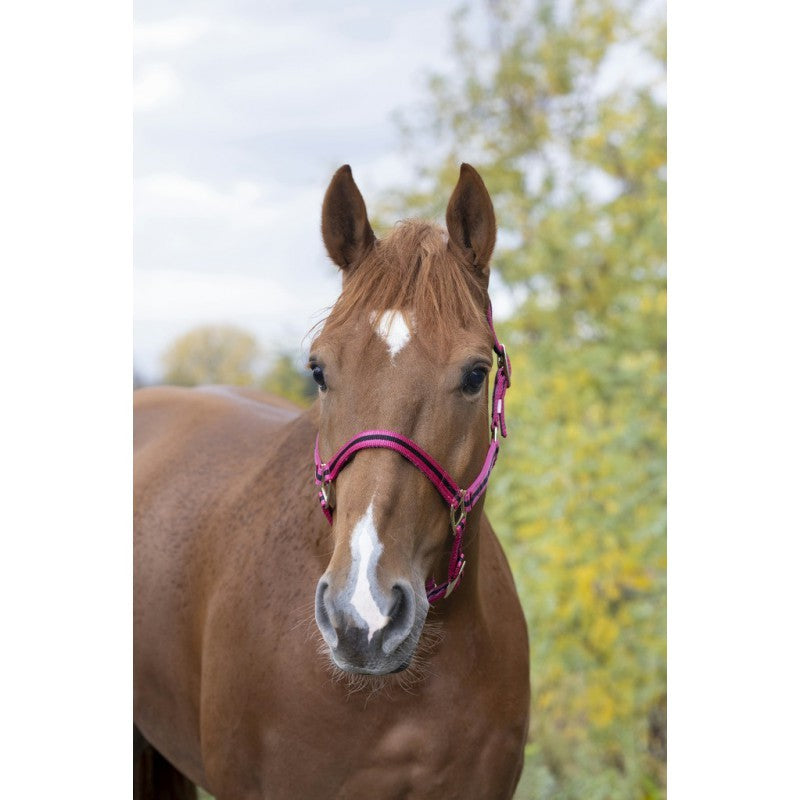 GAMARRON  para caballo de nylon forrada de cuero