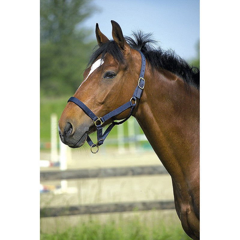 GAMARRON de nylon para caballo