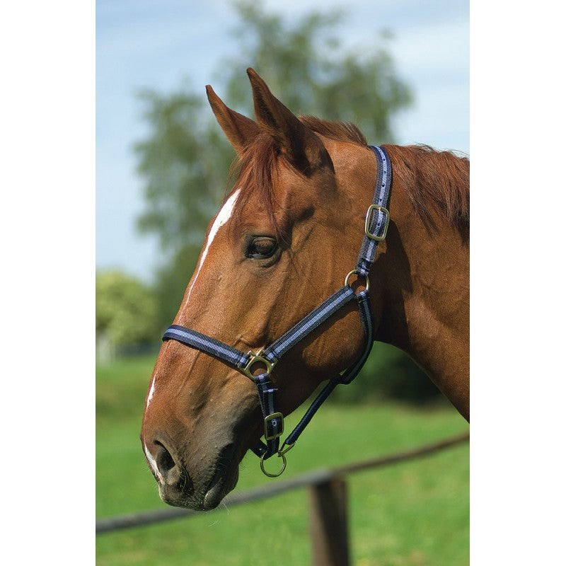 GAMARRON de nylon para caballo