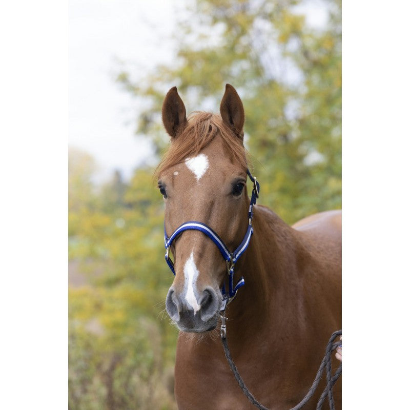 GAMARRON  para caballo de nylon forrada de cuero
