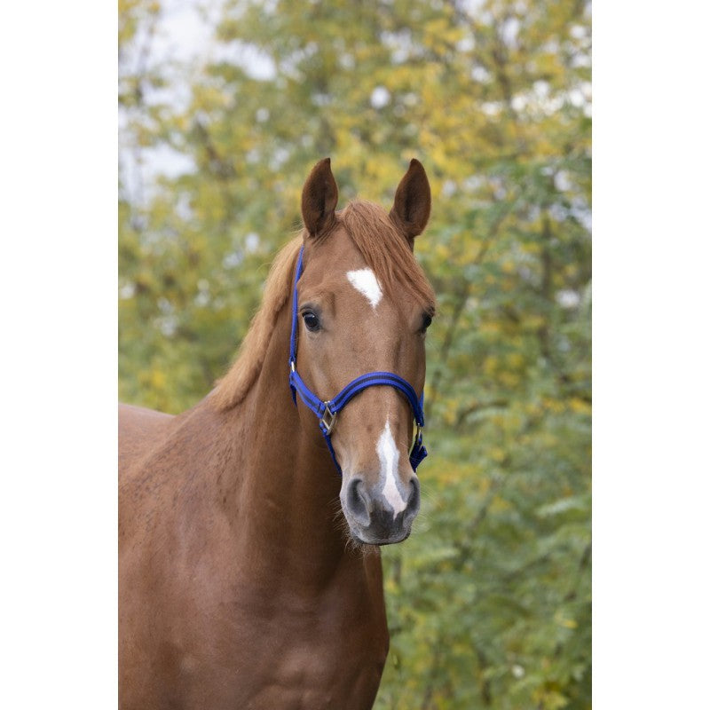GAMARRON de nylon para caballo