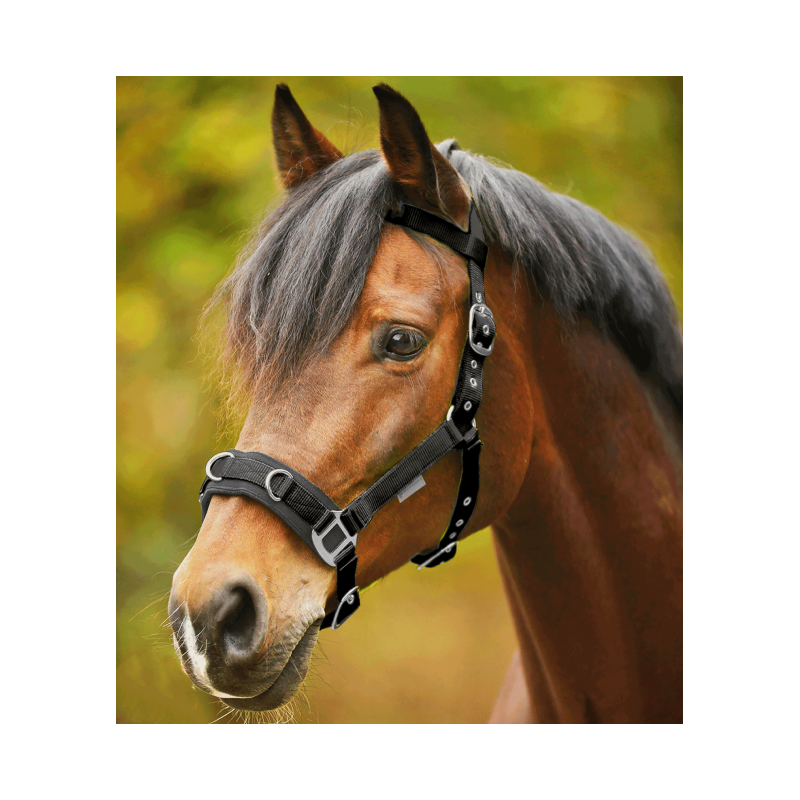 Cabezada de trabajo de nylon Waldhausen Economic