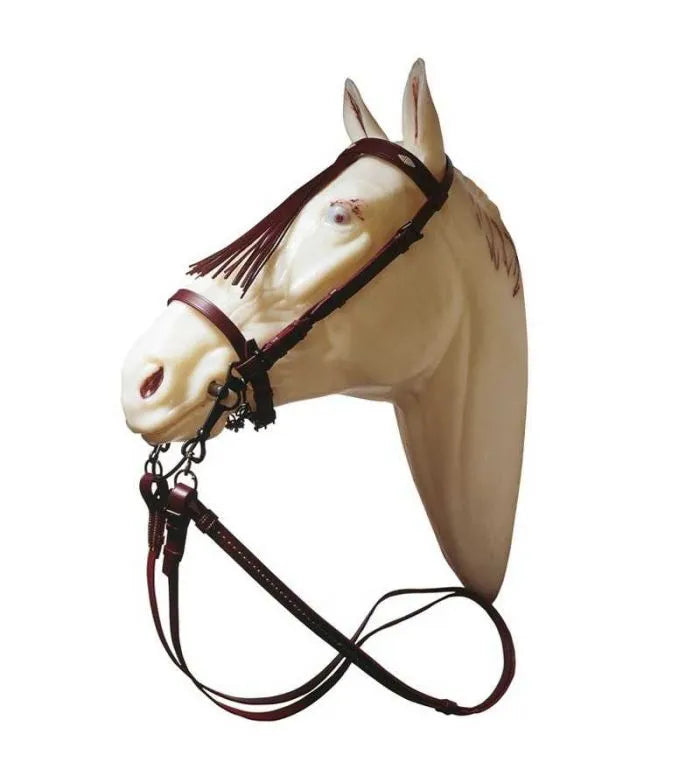CABEZADA VAQUERA ECONÓMICA CON RIENDAS