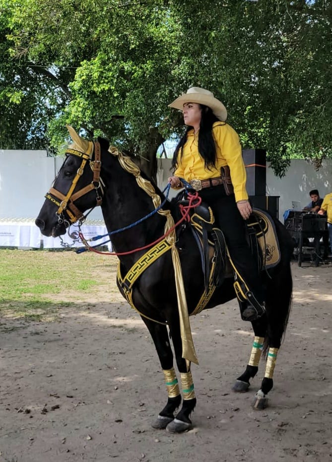 laza para crim sencillas