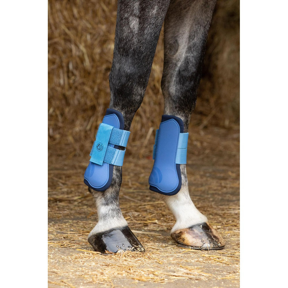 Pack de protectores "WI23" de HARRY'S HORSE