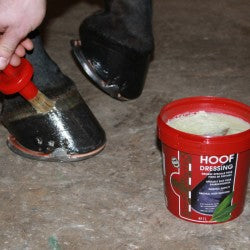 POMADA PARA CASCOS KEVIN BACON'S HOOF DRESSING