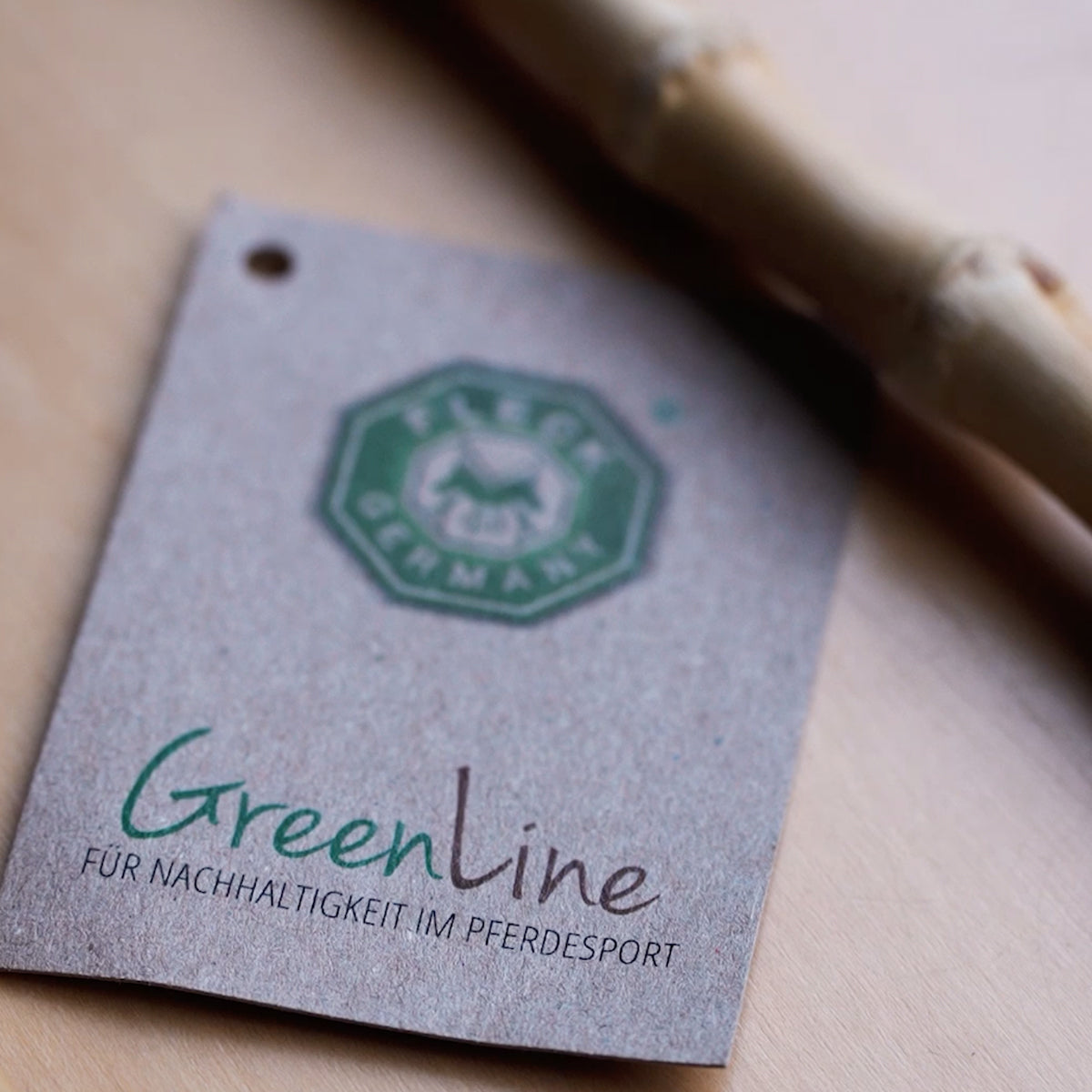 FUSTA DOMA FLECK PROFESSIONAL GREENLINE CON TRALLA   120 cms