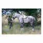 PONCHO NYLON PARA LLUVIA