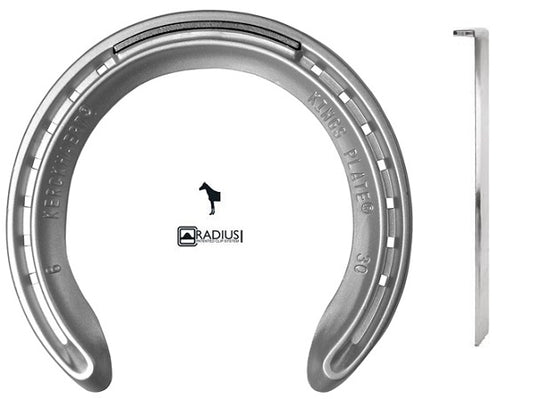 KINGS PLATE ALU ANT. 27 1P (PAR)