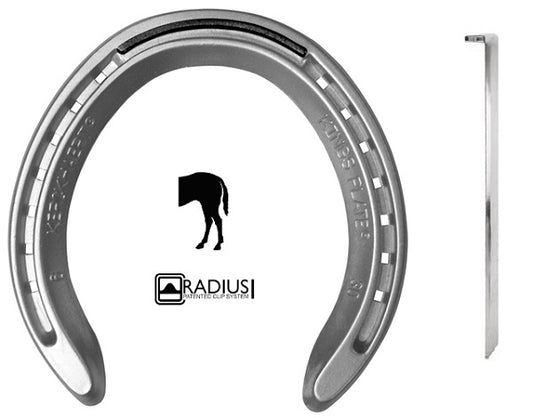 KINGS PLATE ALU POST. 30 1P (PAR) patas