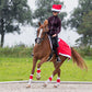 Bandages Christmas