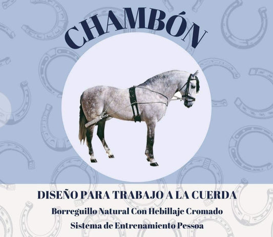 CHAMBÓN COMPLETO CON BORREGUILLO