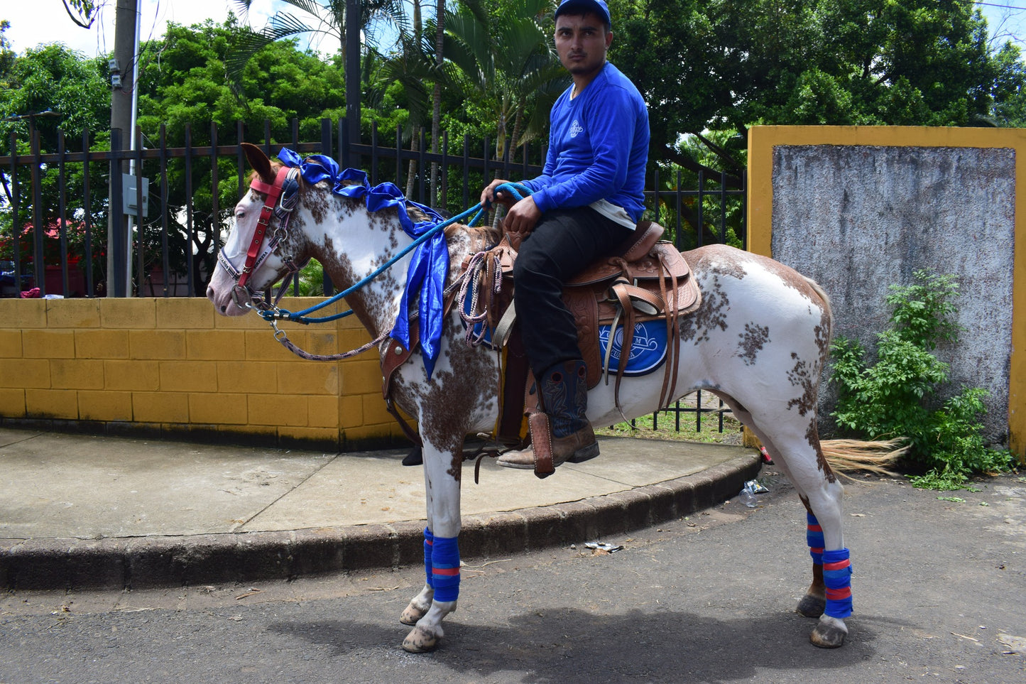 laza para  crim sencillas