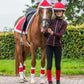 Reindeer hat Christmas