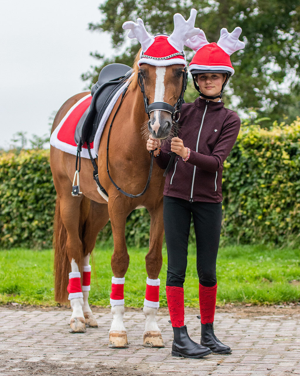 Reindeer hat Christmas