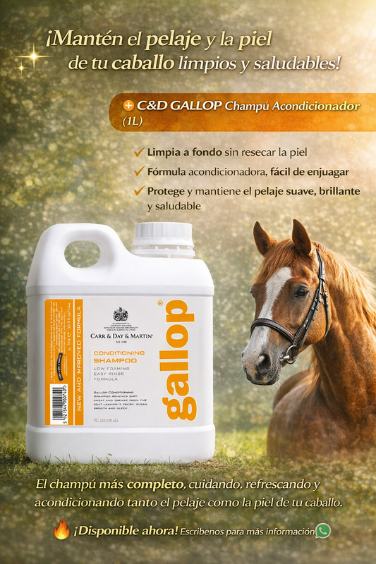 C&D GALLOP Champú Acondicionador 1L