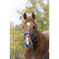 GAMARRON de nylon para caballo