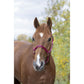 GAMARRON de nylon para caballo