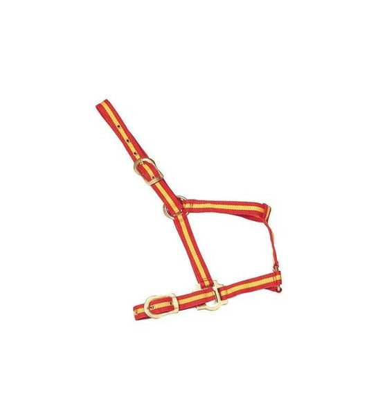 GAMARRON DE NYLON ECONÓMICA