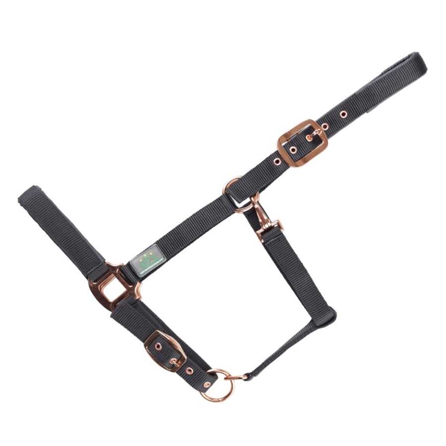 gamarra de nylon para PONY  Everyday USG