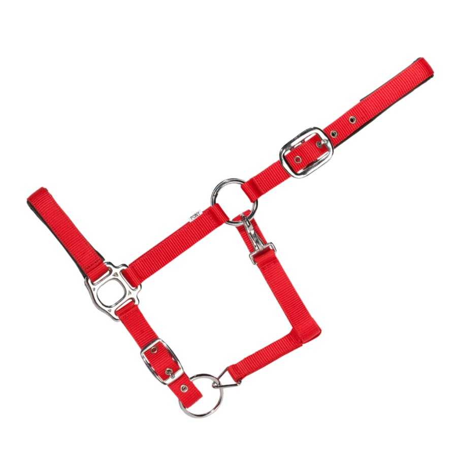 gamarra de nylon para PONY  Everyday USG
