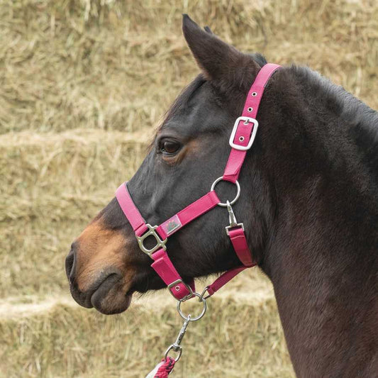 gamarra de nylon para PONY  Everyday USG